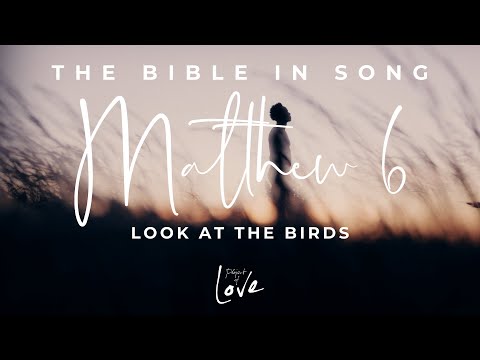 Matthew 6 - Look At the Birds || Bible in Song || Project of Love || ❤️ NO AI! 