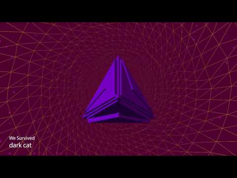 dark cat -  WE SURVIVED (Remix)