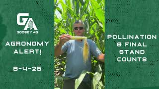 Agronomy Alert! 8-4-25