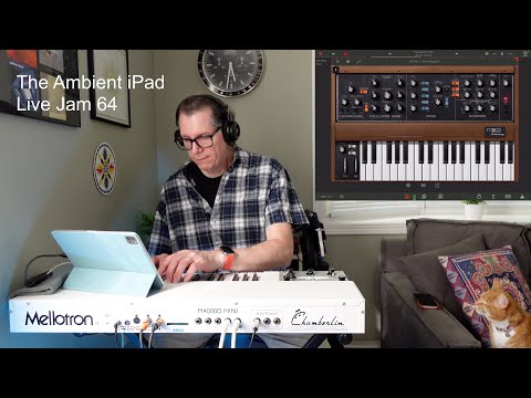 Ambient iPad Live Jam 64 (with cats): Mellotron M4000D M400 Chamberlin Harp Arpeggio, SpaceFields