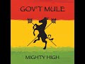 Rebel With A Cause - Gov't Mules