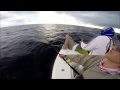 Absolut Fishing Team - Sailfish Challenge 2014