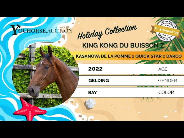 King Kong du Buisson Z