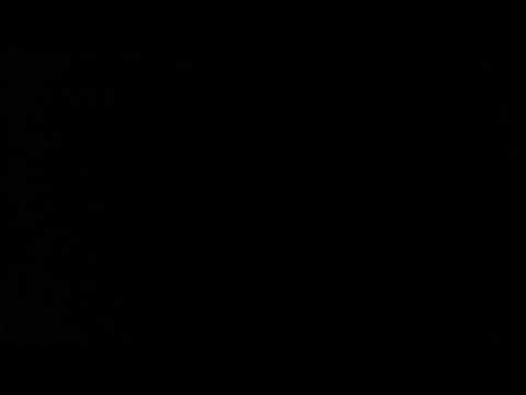 Black screen but randomly I say pineapple