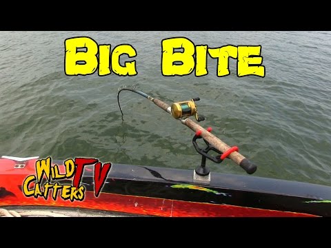 Ohio River Catfishing Guide