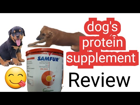 Samfur Oral Route, Packaging Size: 100 ml