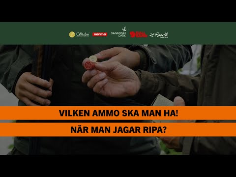 Bästa ammunition för ripjakt? | BRA JAKT