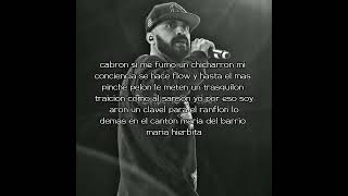 Suena Mamalona - Cartel De Santa Letra