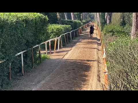 La scuderia di Endo Botti al lavoro