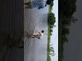 Gaon Ka Pani