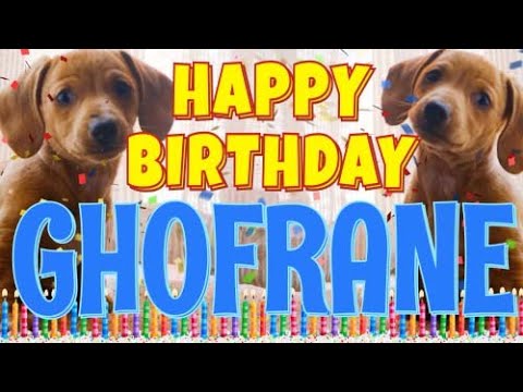 Happy Birthday Ghofrane! ( Funny Talking Dogs ) What Is Free On My Birthday