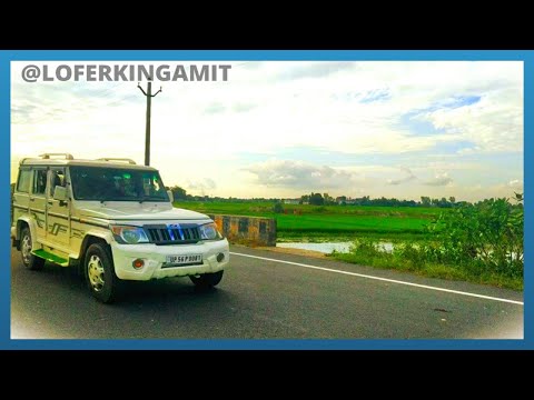 Naseeba Bhi Kya Rang Laya || Hindi WhatsApp Status #viralshorts  #trendingshorts #nature