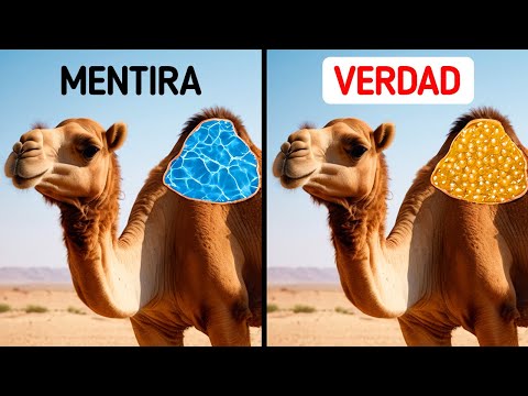 Más de 50 datos sobre animales que nadie nos dijo durante la clase de biología