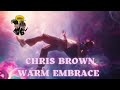 Chris Brown - WE (Warm Embrace) Reaction