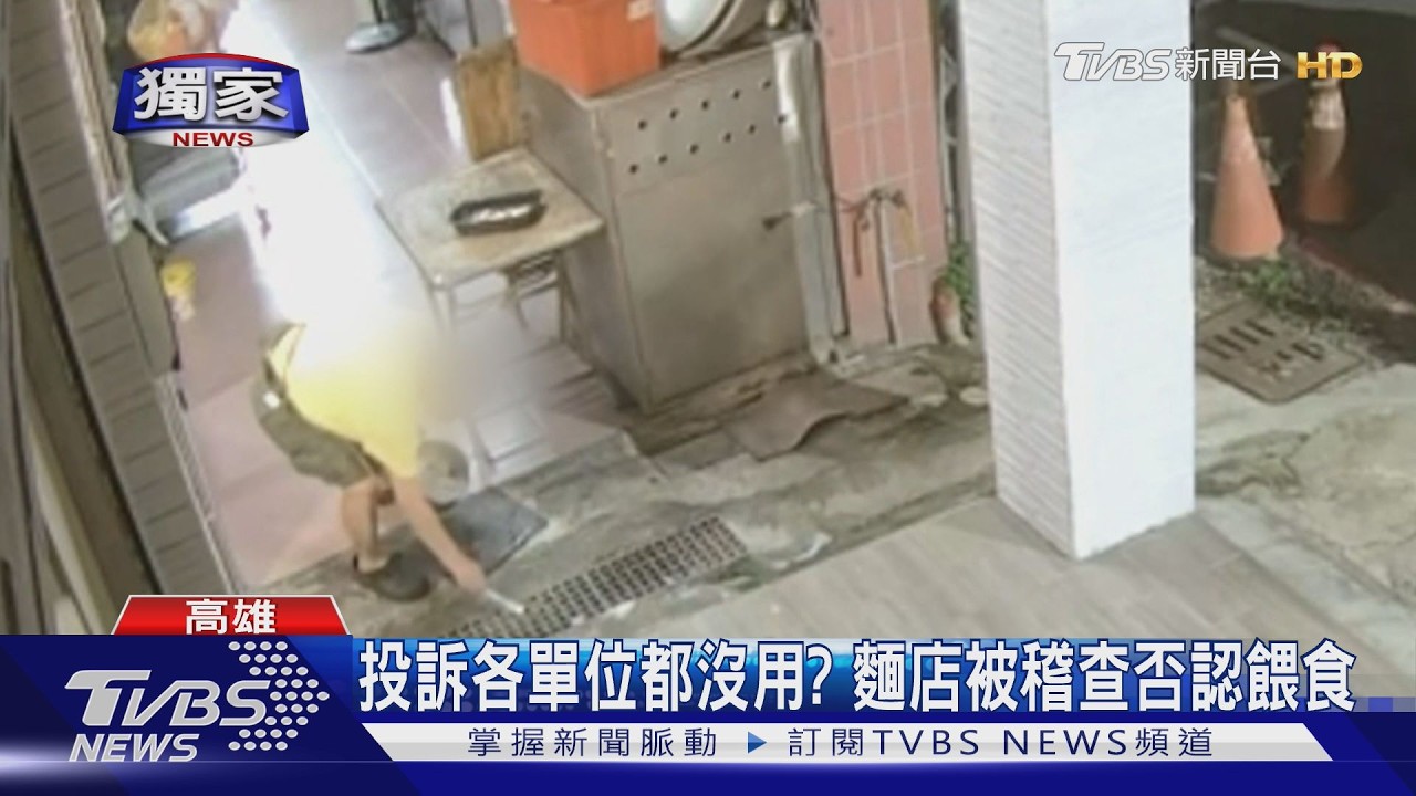 獨家影音／麵店餵浪貓還倒殘渣進水溝！　鄰居怨：忍受髒亂惡臭5年