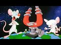 Animaniacs Pinky And The Brains Volume 1 DVD Trailer 2006