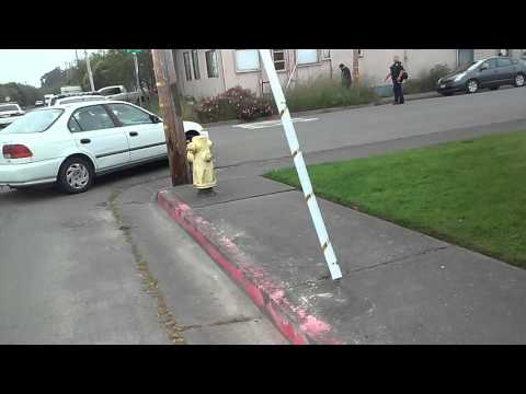 Arcata Cops with AR-15's in the street