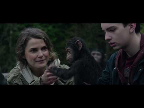 Apes Together Strong "Montage 1968-2017"