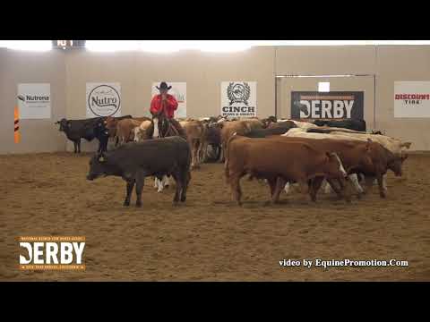 Brother Jackson ridden by Ken L. Wold  - 2018 NRCHA Derby (Herd, Open Bridle Spec.)