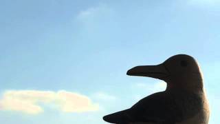 Neil Diamond - Jonathan Livingston Seagull 1 - New Year's Eve - 31-12-2014 - 3