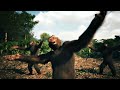 4K Monkey Rizz Edit TikTok Style The Lost Soul Down