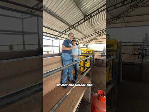 Hacienda San José, Vichada.🐄