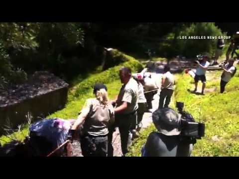 16 million year-old whale fossil recovered in RHE #fossil