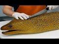 Amazing Masterful Cutting Skills Giant Moray Eel Giant Octopus Best Japanese Luxurious Sashimi