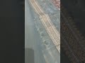 Kora Silk Cutwork Jamdani Tested Zari Saree