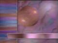 WMHT Station ID