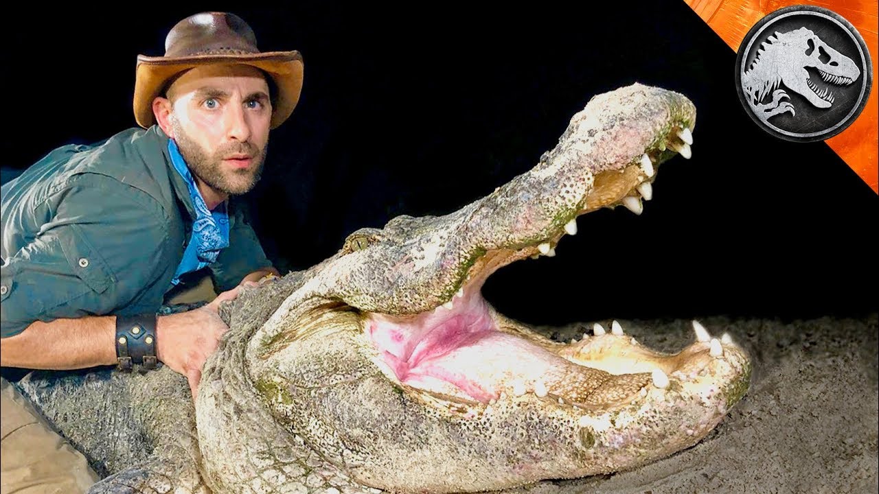 T-REX SIZED GATOR Caught in Florida!