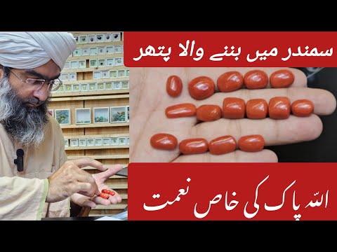 Marjan stone ki pehchan | marjan stone price in pakistan | marjan stone k faiday | marjan stone