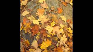 &quot;Interlude For Piano&quot; - Peter Bradley Adams