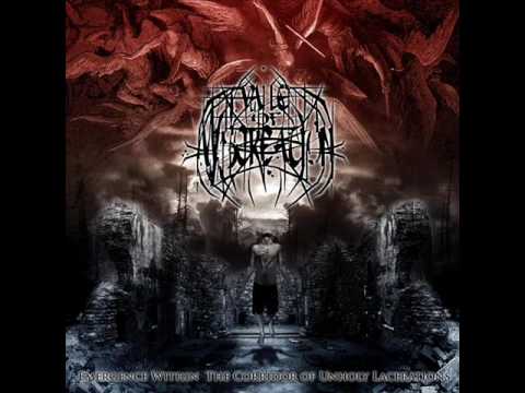Vale Of Miscreation - Affinity For Self Obliteration