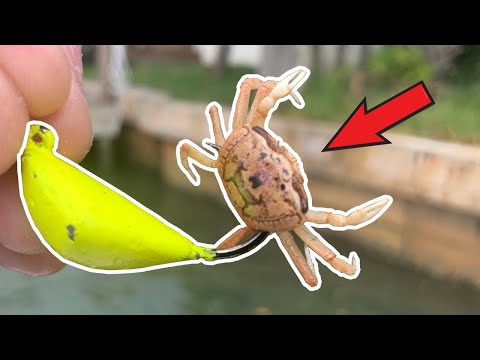 Fishing Inlets for Sheepshead on YouTube