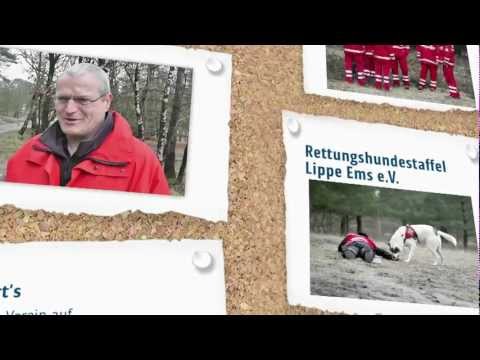 DiBaDu und Dein Verein 2011