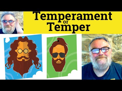 😎 Temperament vs Temper Meaning - Temperament Definition - Temper Defined - Temperament or Temper