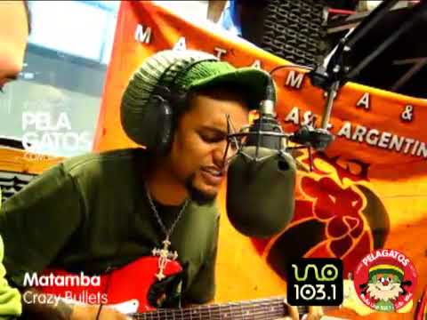 Matamba - Crazy Baldhead ( Bob Marley ) - Reggae en PelaGatos