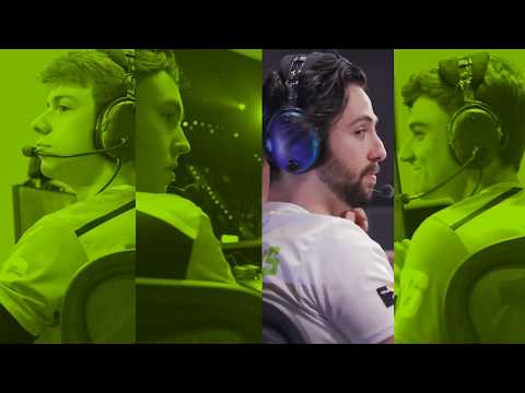 The Wolf Schröder Stare OWL