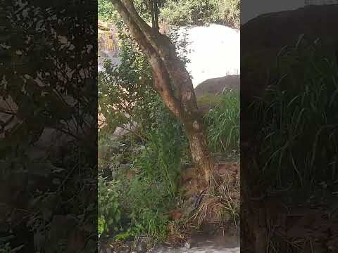 cachoeira atalaia Paraná