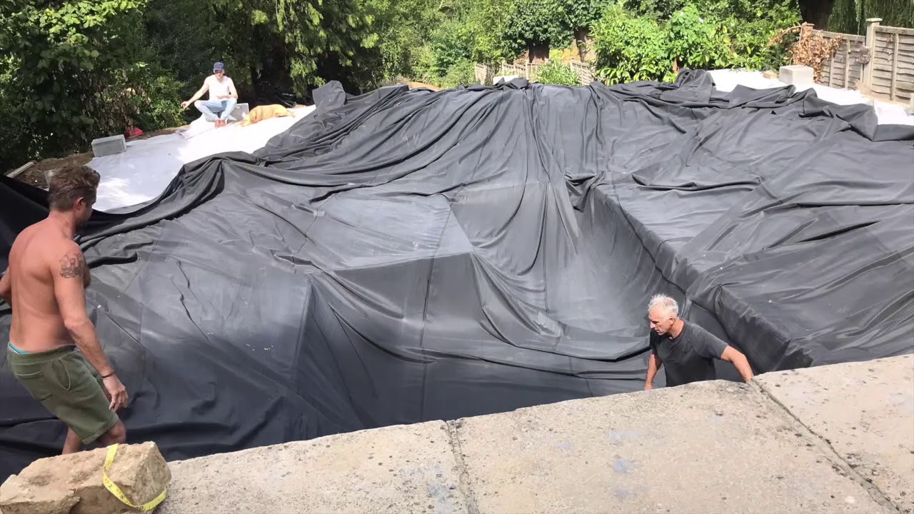 Planting the Regeneration Zone - Natural Pool Plants