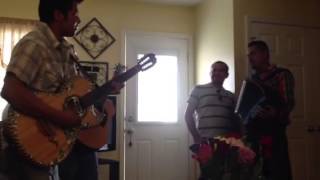 Las Golondrinas mariachi