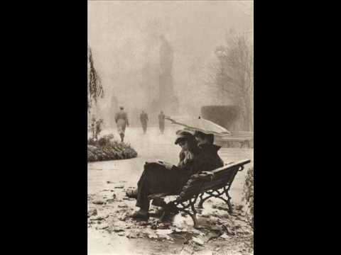 Maxime Le Forestier - Mourir pour une nuit