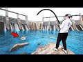 Fishing A MASSIVE DAM That S INFESTED With Bass Public Bass Fishing