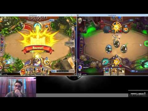 Hearthstone Lifecoach Playing Secret Paladin In Two Servers Same Time