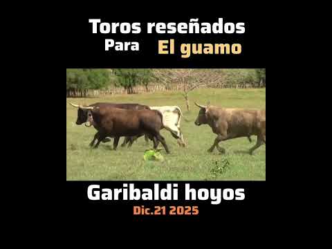 ejemplares reseñados para el guamo Garibaldi hoyos