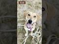 Kodi 0796/25