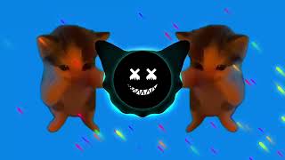 Download lagu DJ KICAU KICAU KICAU MANIA SLOW VIRAL TIKTOK FULL SONG MAMAN FVNDY 2026 mp3