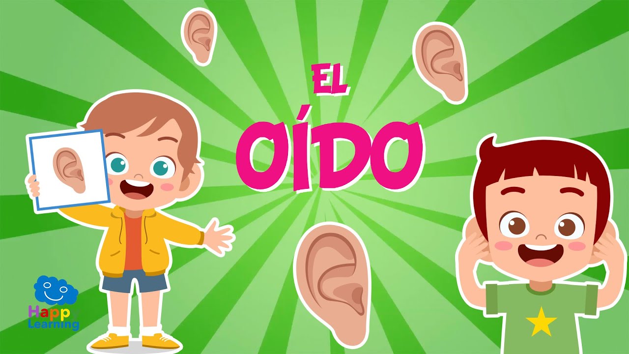 EL OIDO 👂👂LOS 5 SENTIDOS | Vídeos educativos para niños