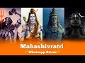Mahashivratri Whatsapp Status 2023 Mahashivratri Mashup Status